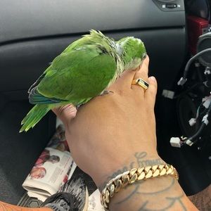 Meet your Posher, Christoff